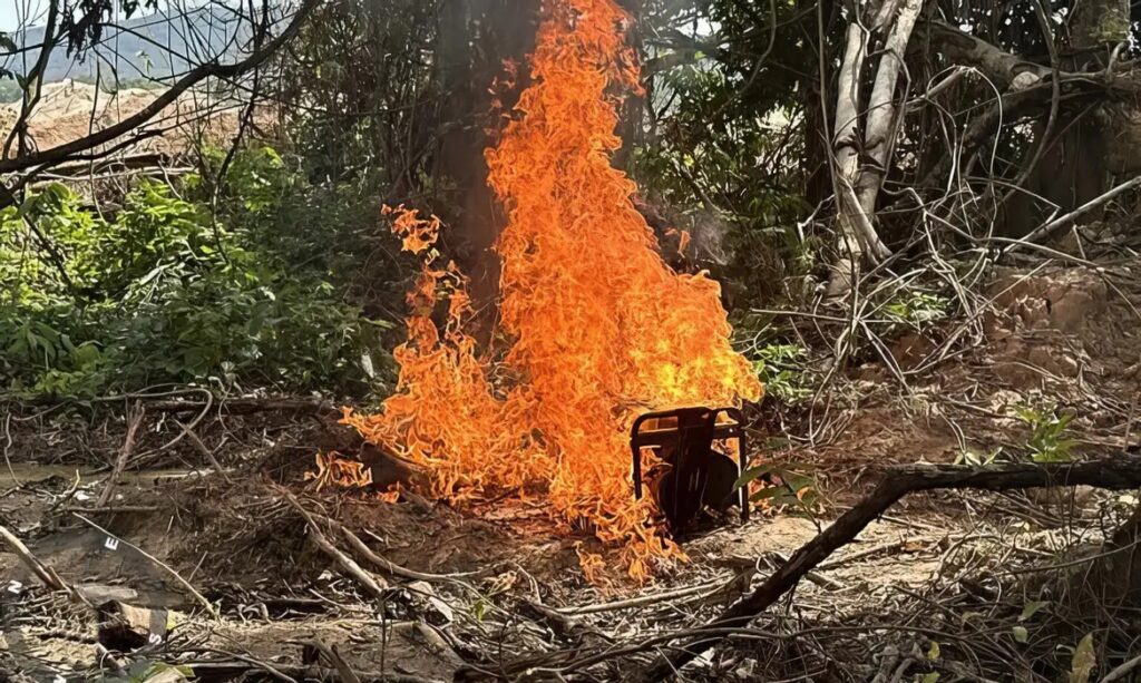 FOGO MATA PF