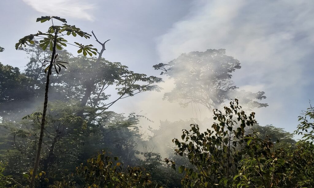 Incêndios e seca na Amazônia