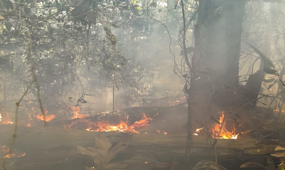 Incêndios e seca na Amazônia