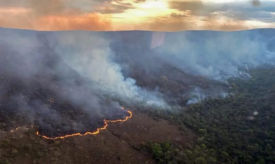 incêndios Florestais